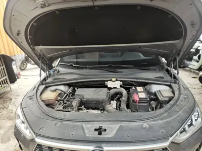 BYD PLUS