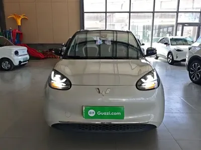 Wuling Bingo