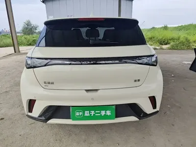 BYD Dolphin