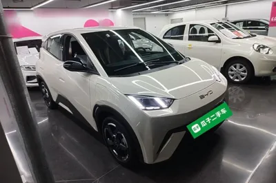 BYD Seagull