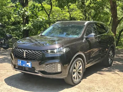 WEY Wey VV6