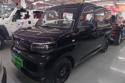 Wuling Zhiguang New Energy