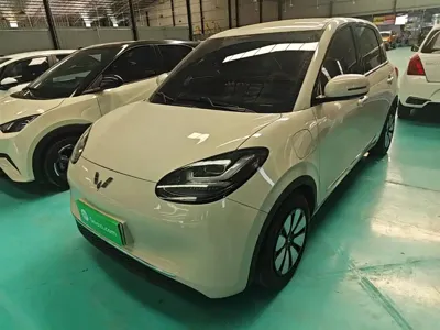 Wuling Bingo