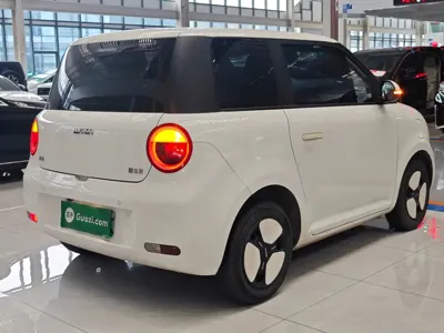 Qiyuan Lumin