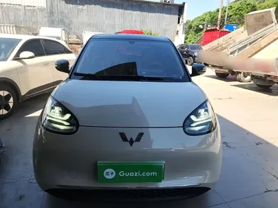 Wuling Bingo
