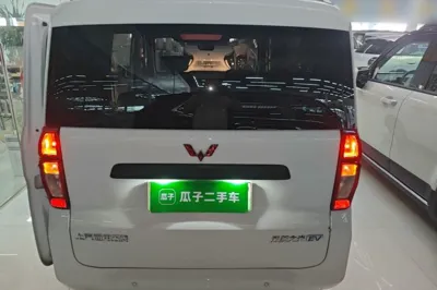 Wuling Zhiguang New Energy