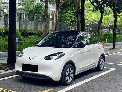 Wuling Bingo