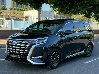 Denza Denza D9