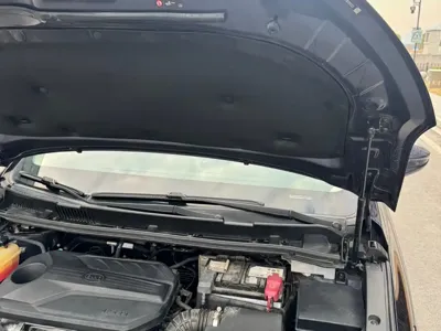 BYD MAX