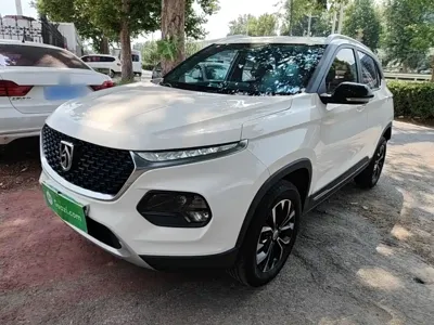 Baojun 510
