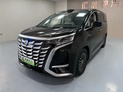 Denza Denza D9