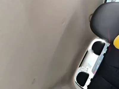 ORA Ora White Cat