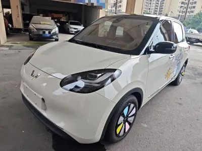 Wuling Bingo