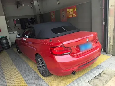 BMW 2 Series (Import)