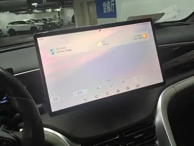 BYD Pro New Energy