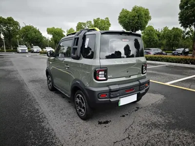 Galaxy Panda