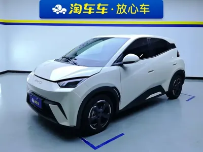 BYD Seagull