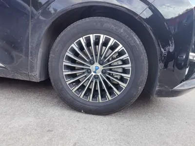 Denza D9