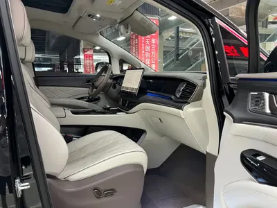 Denza Denza D9