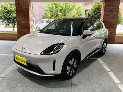 Wuling 缤果S