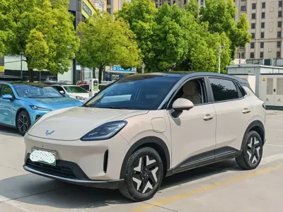 Wuling 缤果S