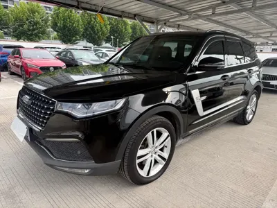 Zotye Zotye T800