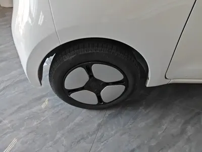 FERRAL EV
