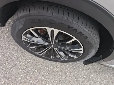 WEY Wey VV6
