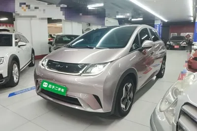 BYD Dolphin
