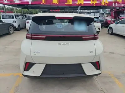BYD Seagull
