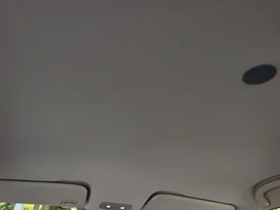 NETA Neta V