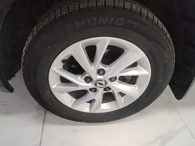 Fengxing Lingzhi PLUS