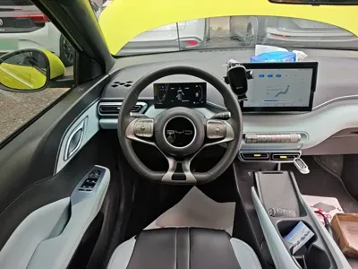 BYD Seagull