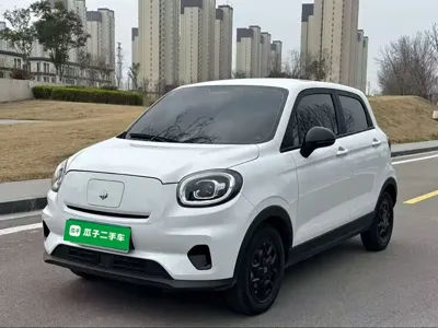 Leapmotor Leapmotor T03