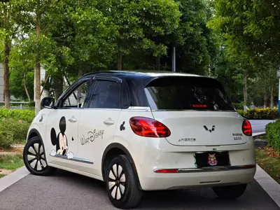 Wuling Bingo