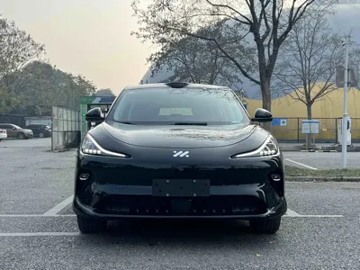 IM IM LS6