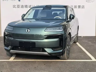 Denza 腾势N9