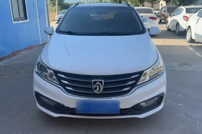 Baojun 310
