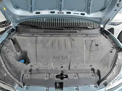 NETA Neta V