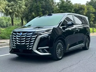 Denza Denza D9