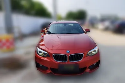 BMW 2 Series