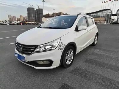 Baojun 310