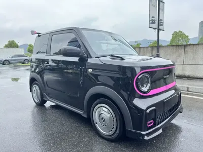 Galaxy Panda
