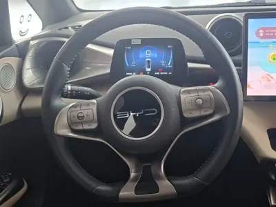 BYD Dolphin