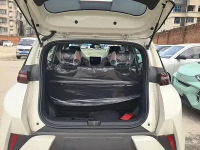 BYD Seagull