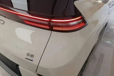 BYD Seagull
