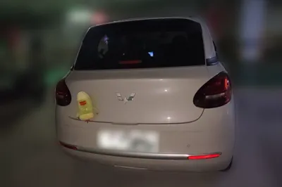 Wuling Bingo