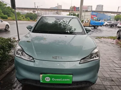 NETA V