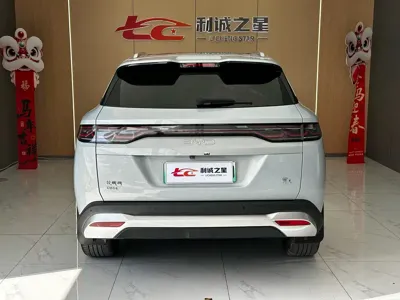 BYD L DM-i