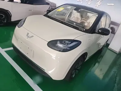 Wuling Bingo